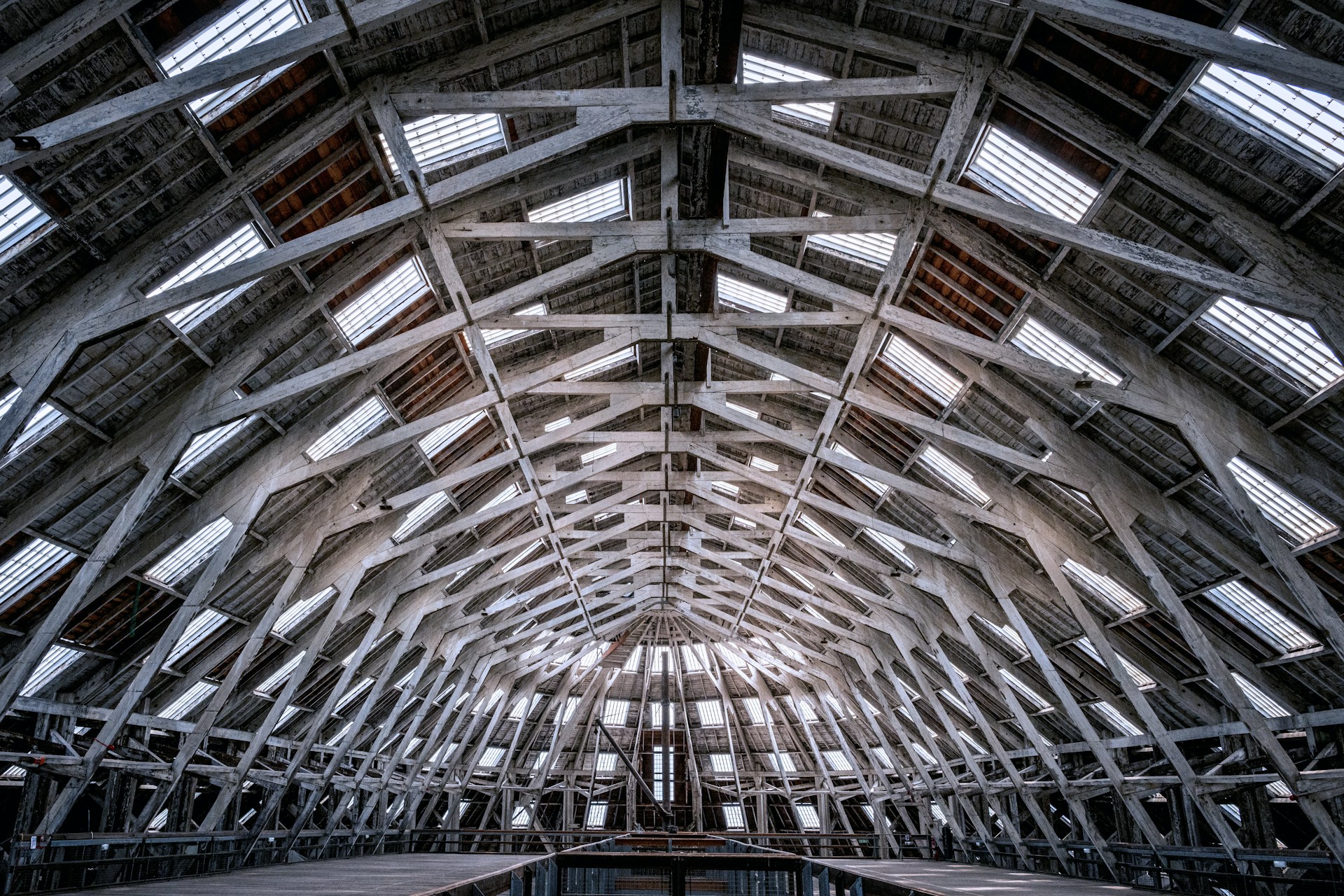 Photo Unsplash/Jez Timms