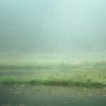 Photo Unsplash/Tim Foster