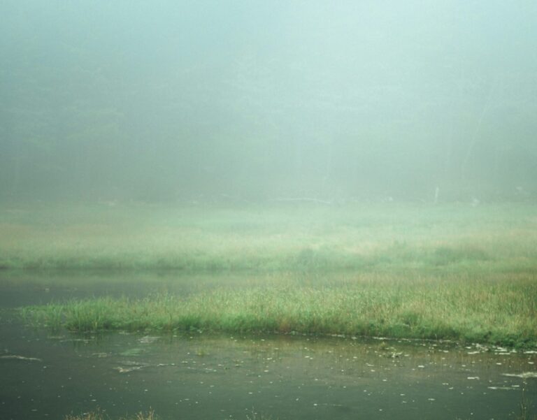 Photo Unsplash/Tim Foster
