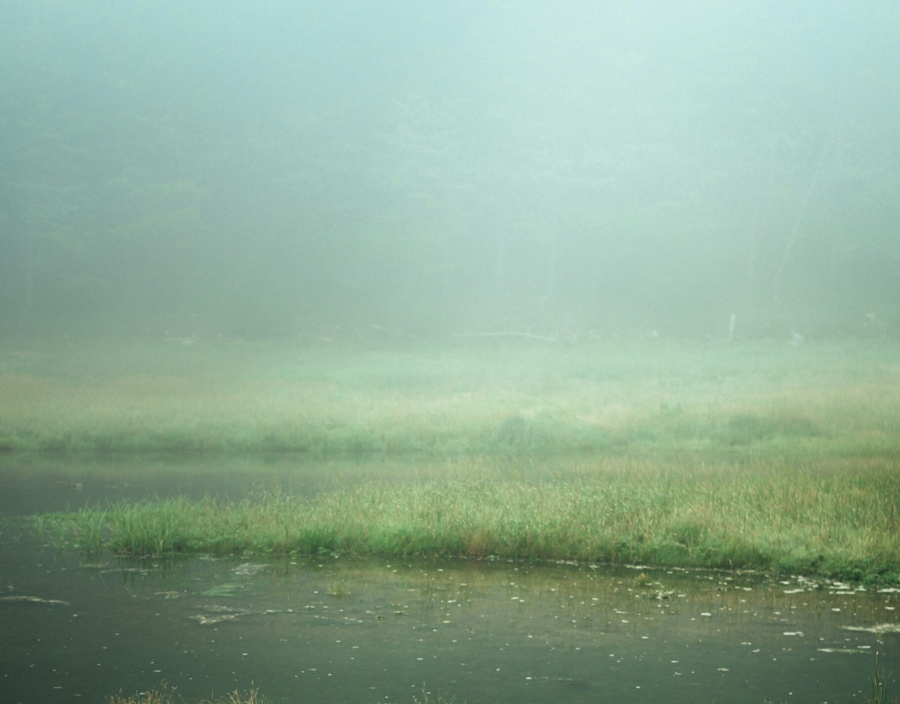 Photo Unsplash/Tim Foster