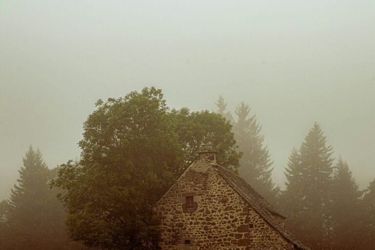 Photo Unsplash/DDP